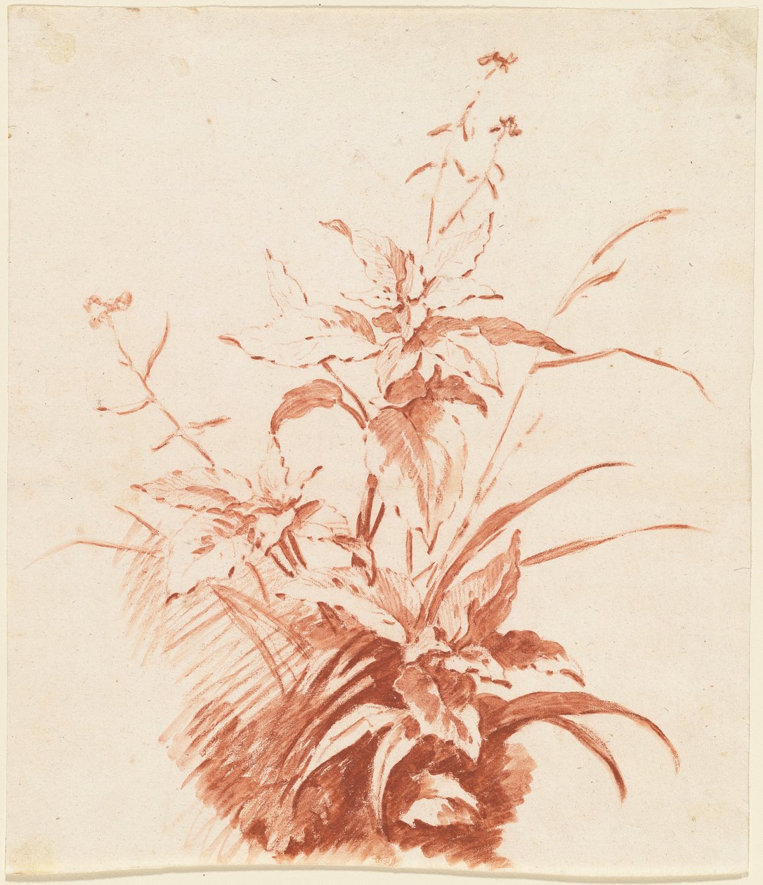 Blühende Pflanze mit Gras de Jean-Baptiste Huet