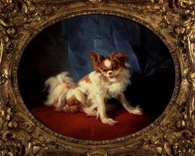 O Pequeno Favorito de Jean Baptiste Huet