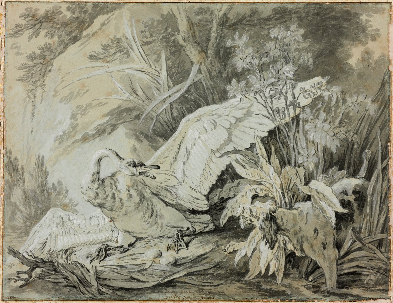 Um cisne selvagem atacado por um cão de Jean-Baptiste Oudry