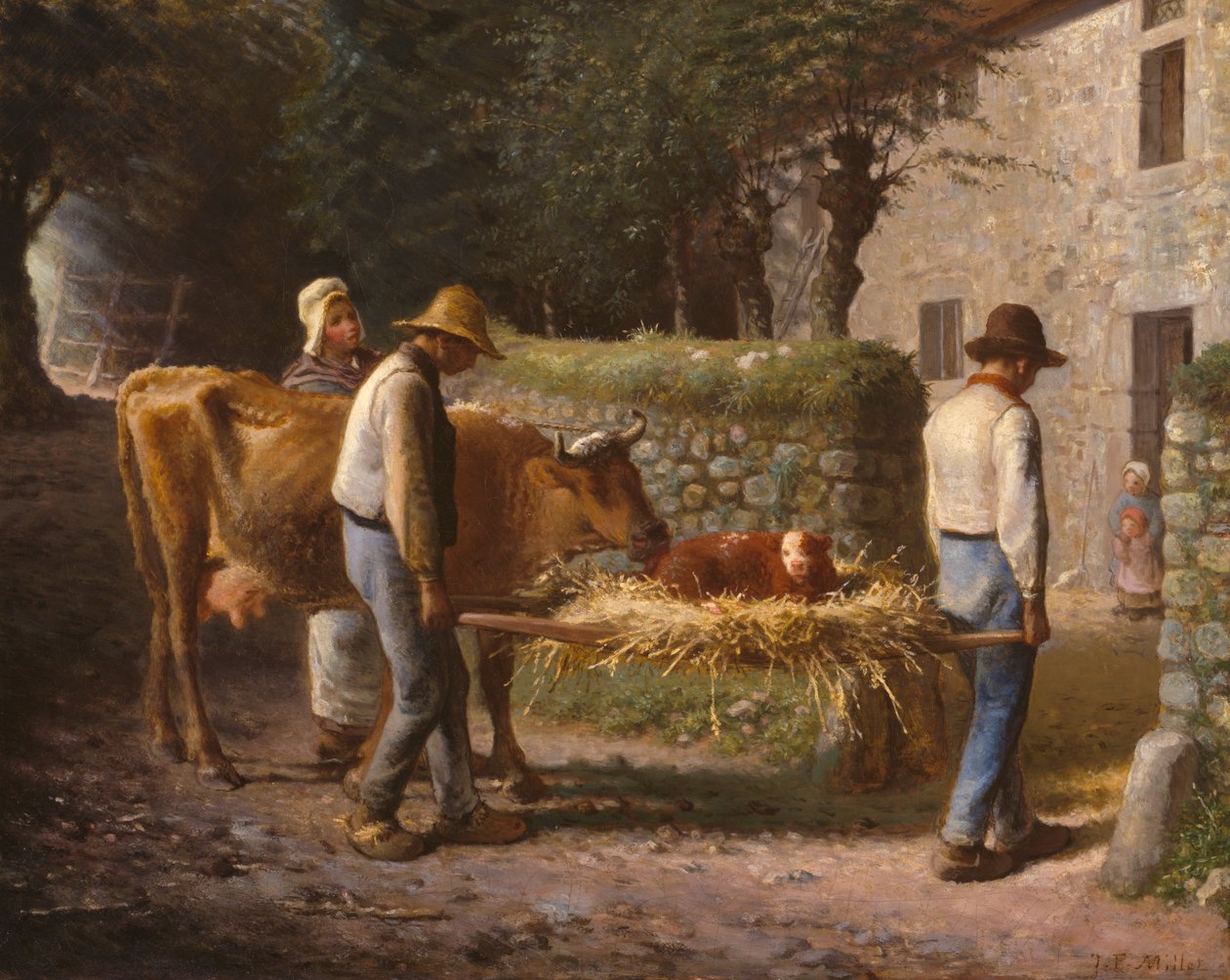 Camponeses que trazem para casa um bezerro nascido nos campos de Jean-Francois Millet