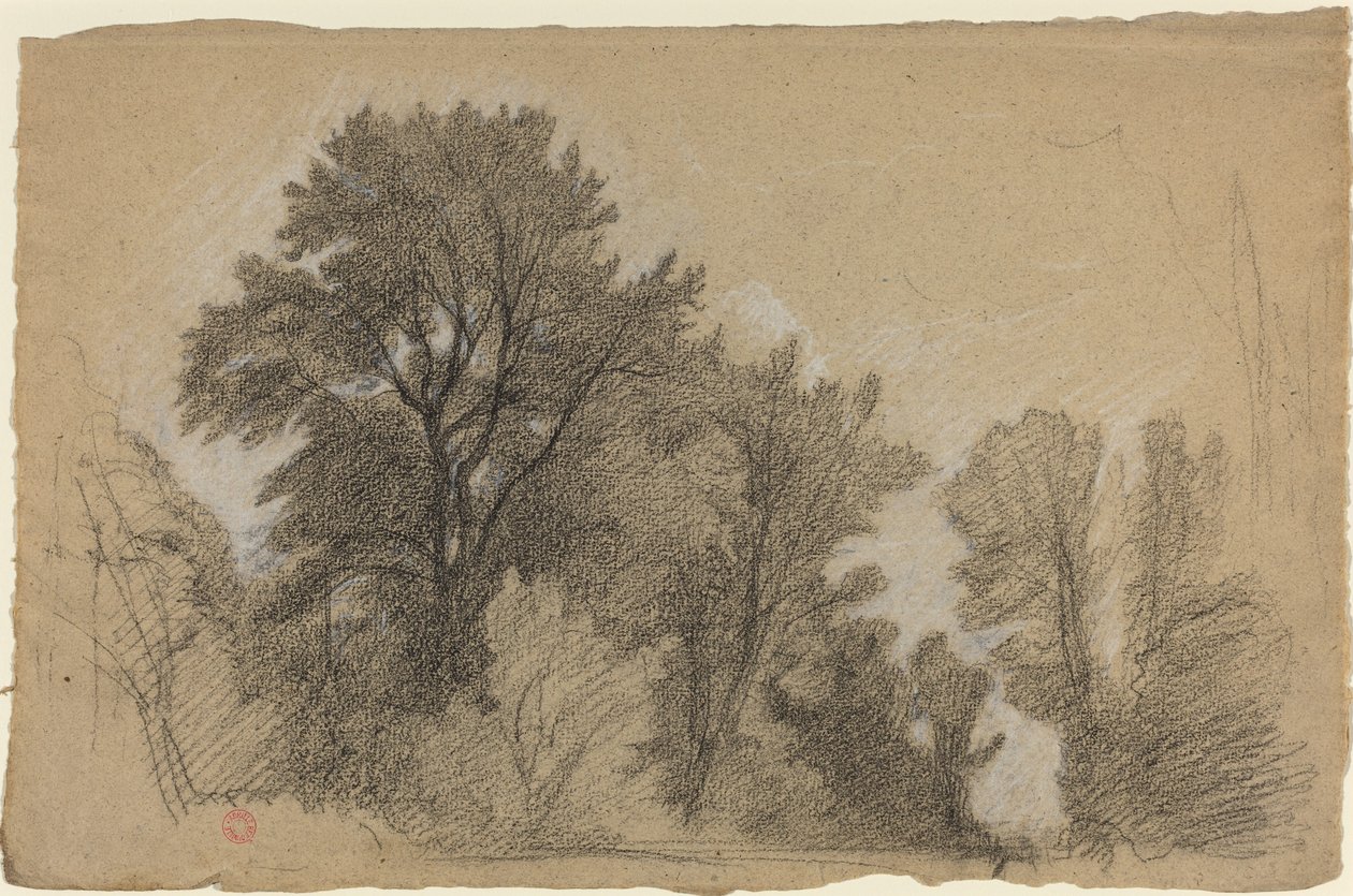 Borda de uma madeira de Jean Achille Benouville