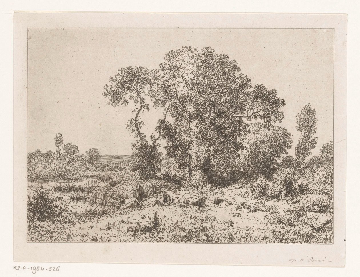 Grupo de árvores perto de um pântano de Jean Alexis Achard