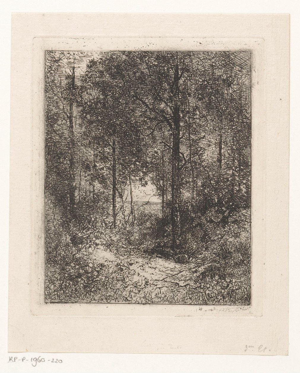 Vista da floresta de Jean Alexis Achard