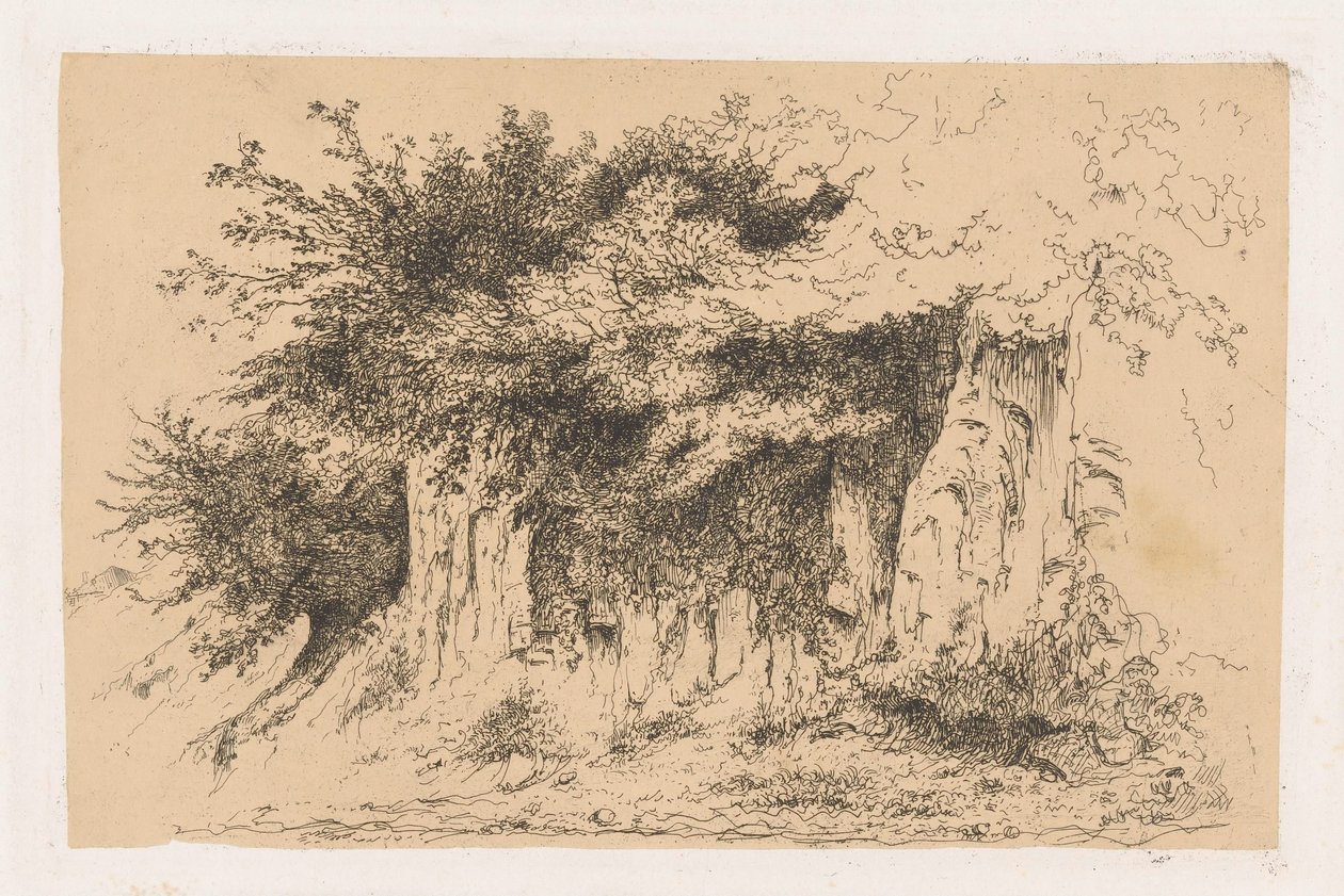 Arbustos sobre um monte de terra de Jean Alexis Achard