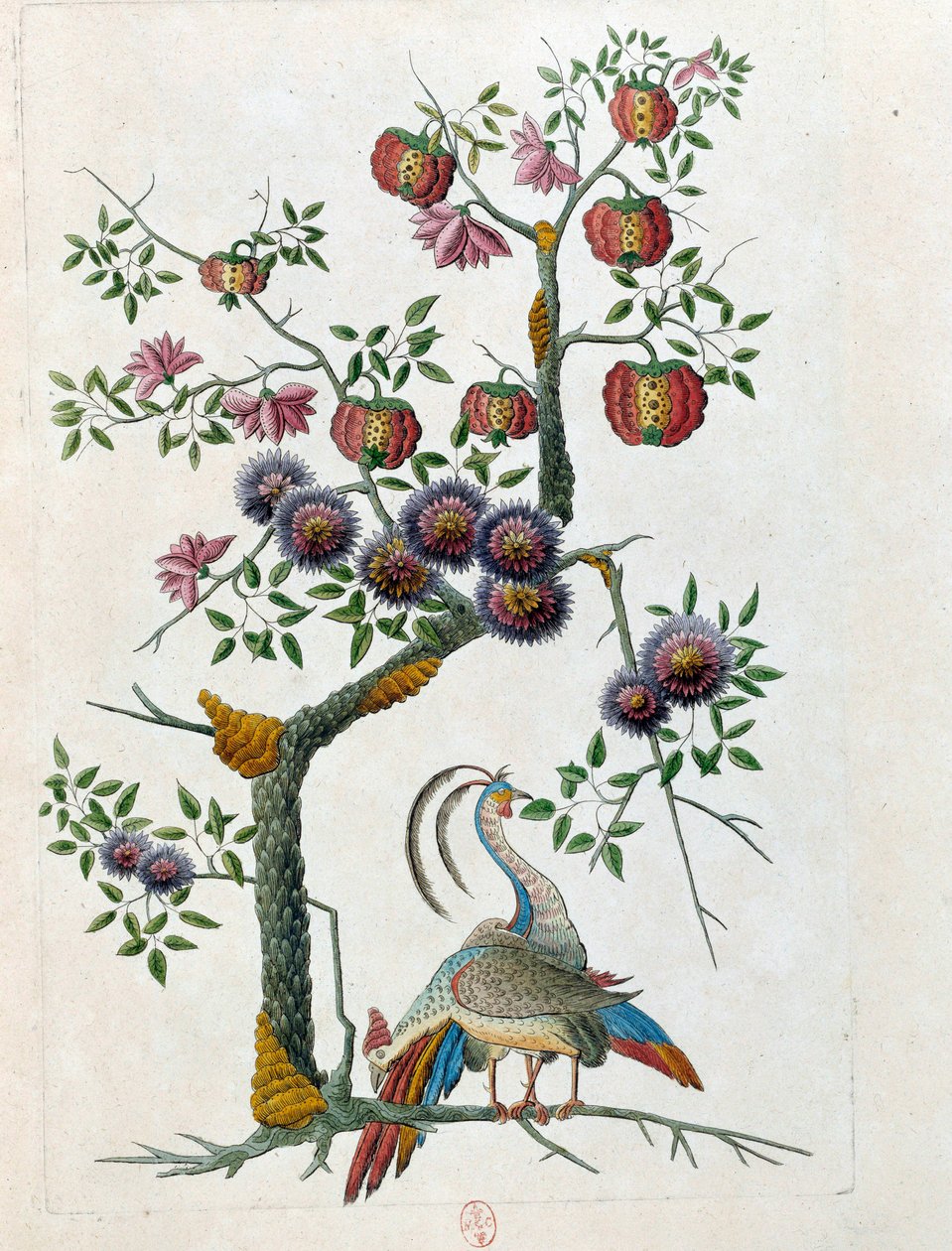 Desenho a partir de um vaso chinês: pássaro e ramo de flores. Pintura de Jean Antoine Fraisse (século XVIII) de Jean Antoine Fraisse