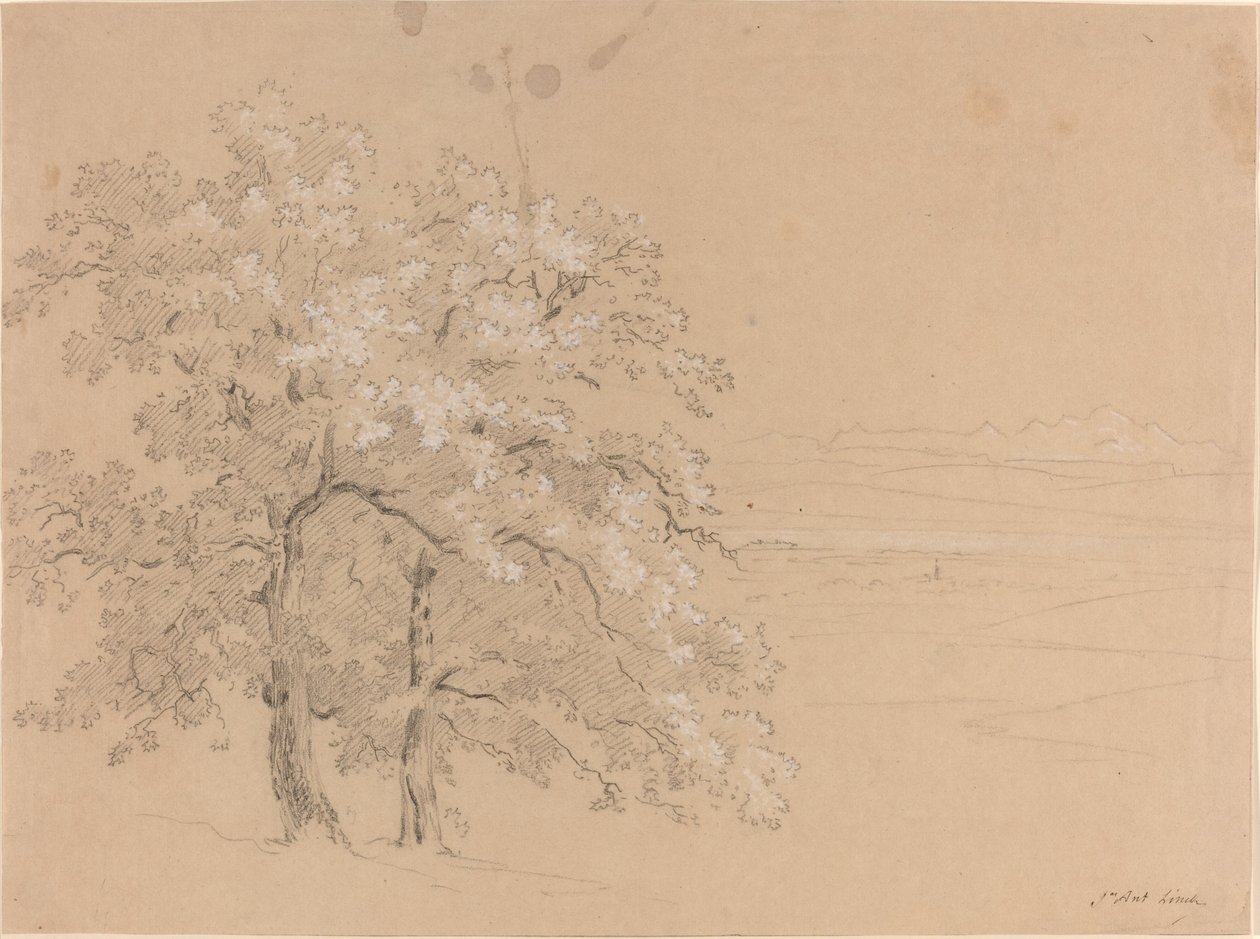 Árvores iluminadas pelo sol antes de uma paisagem panorâmica de Jean Antoine Linck