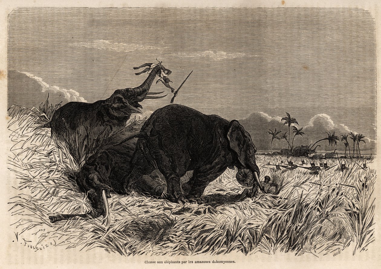 A caça aos elefantes pela Amazónia Dahomyan de Jean Antoine Valentin Foulquier