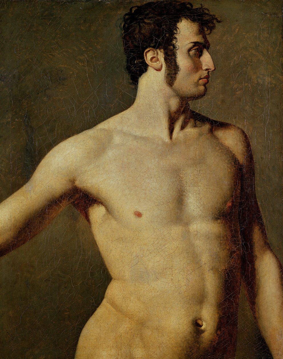 Torso masculino de Jean Auguste Dominique Ingres