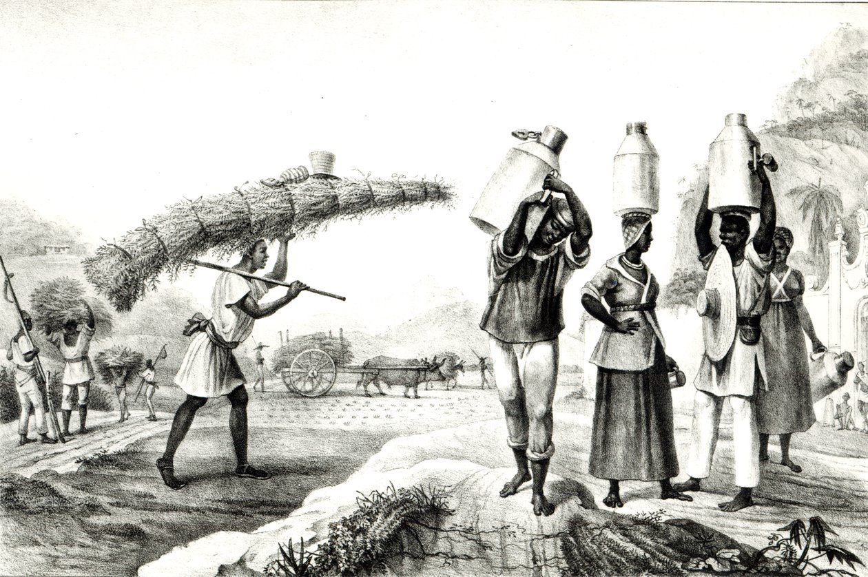 Milk and Capim Vendors, da 