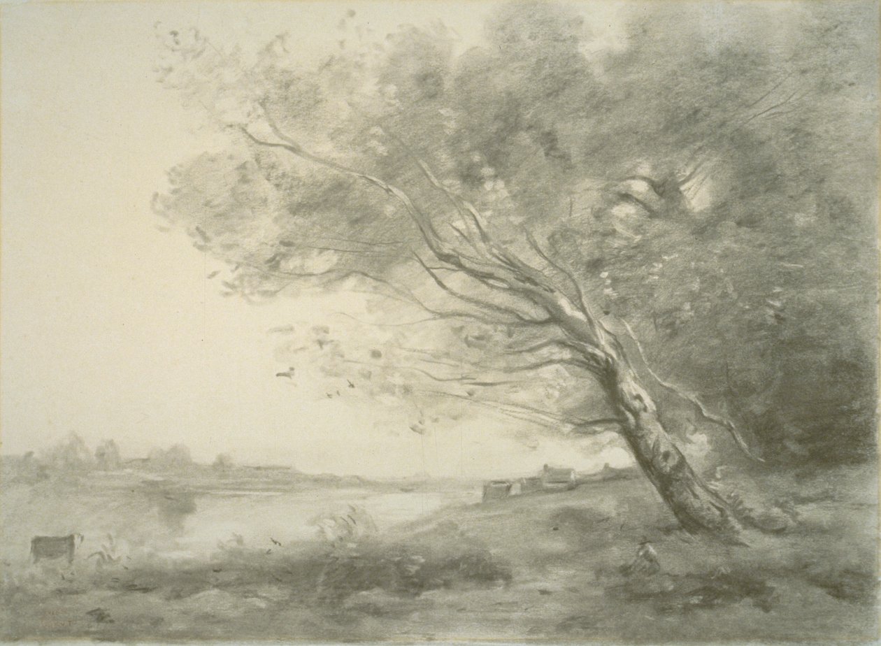 Árvore dobrada pela água de Jean Baptiste Camille Corot