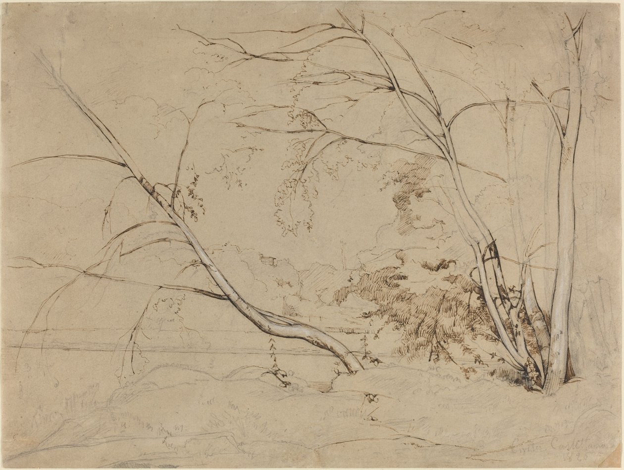 Grupo de árvores em Civita Castellana de Jean Baptiste Camille Corot