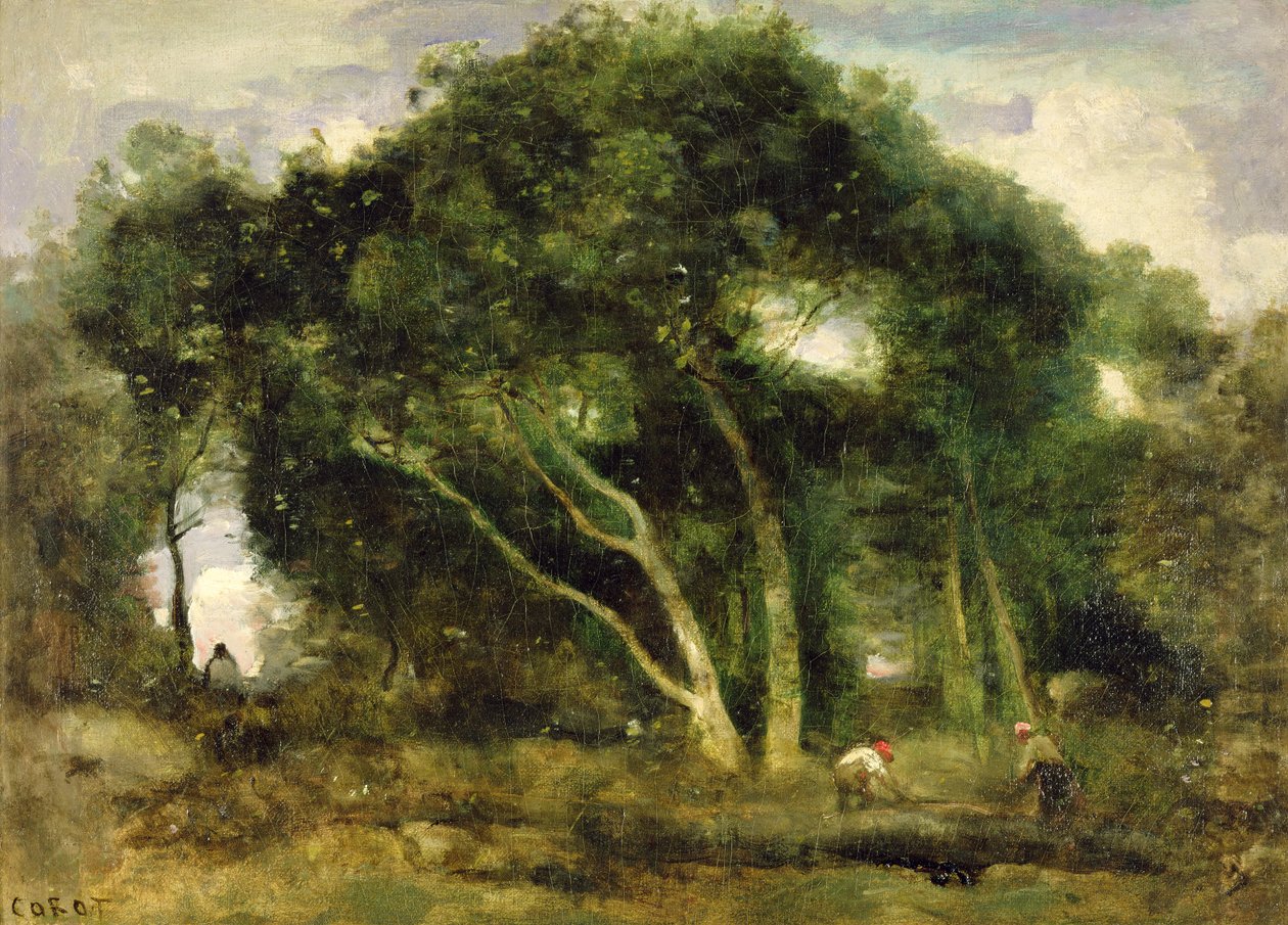 Fontainebleau: Chenes Inclines dans une Eclaircie de Foret, c.1830-40 (óleo sobre tela) de Jean Baptiste Camille Corot