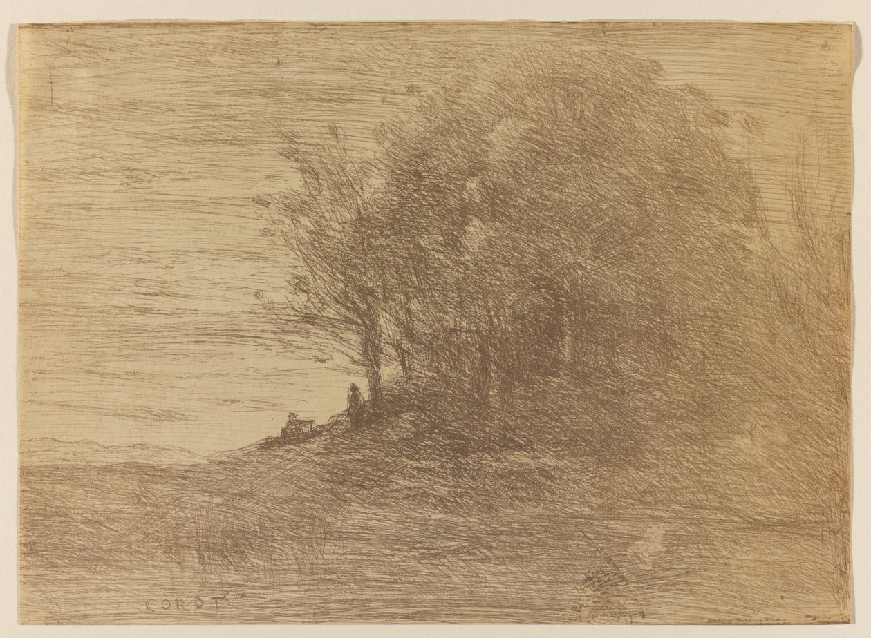 The Wood of LErmite, 1858 (clichê de vidro em marrom-castanho em papel de capa) de Jean Baptiste Camille Corot