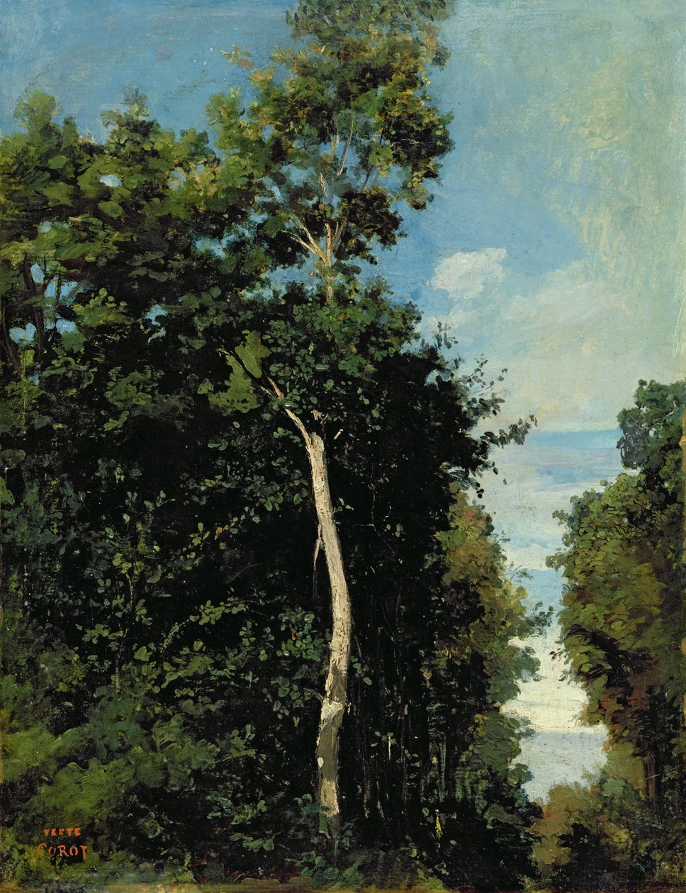 A madeira na Côte de graça em Honfleur (óleo sobre tela colocado a bordo) de Jean Baptiste Camille Corot