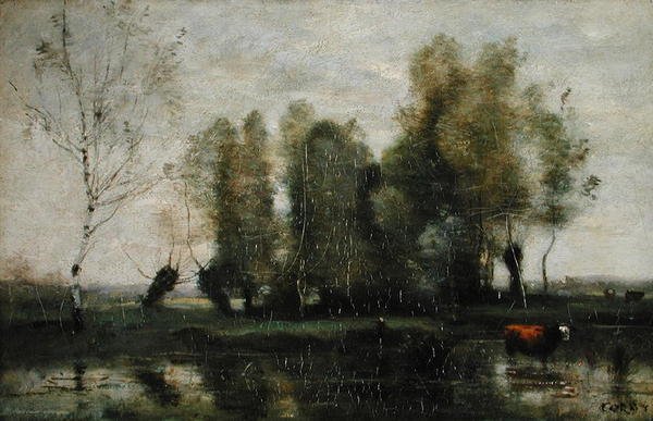 Árvores em uma paisagem pantanosa, c.1855-60 (óleo sobre tela) de Jean Baptiste Camille Corot