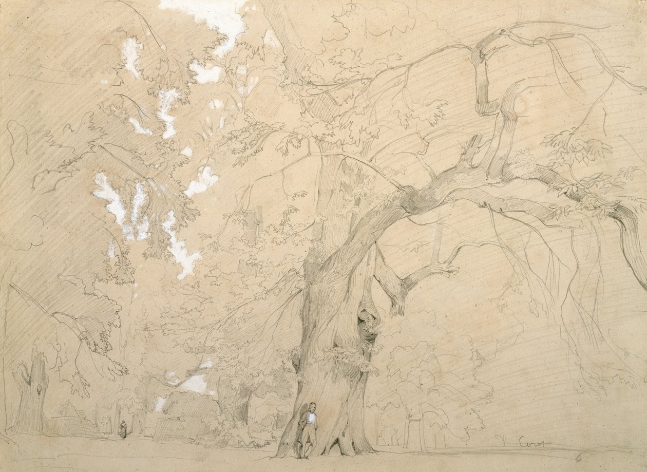 Jovem diante de um grande carvalho, c.1840 (lápis e guache sobre papel) de Jean Baptiste Camille Corot