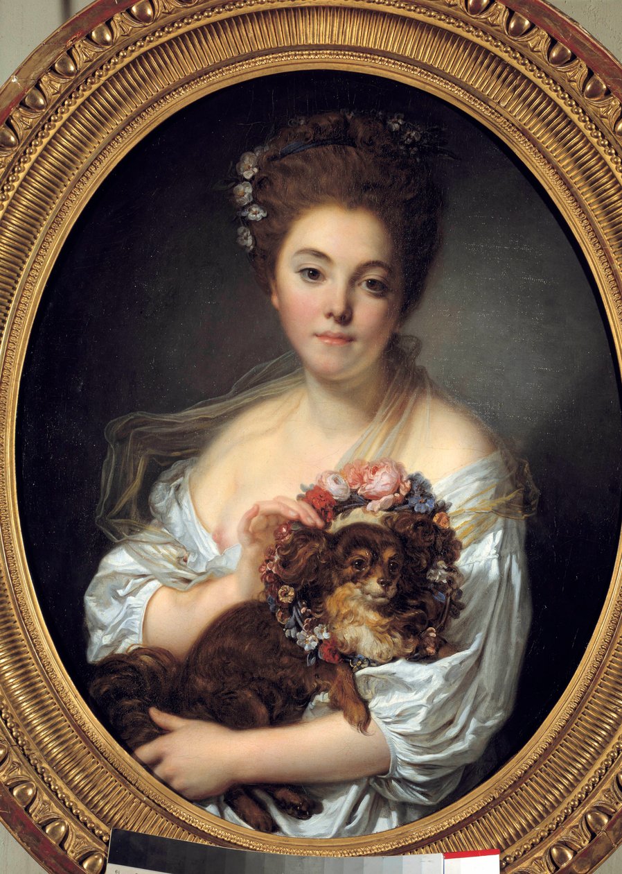 Retrato de Madame De Porcin Painting de Jean Baptiste Greuze (1725-1805). 1770 aproximadamente Dim 0,72 x 0,58 m. Angers. Museu de Belas Artes de Jean Baptiste Greuze