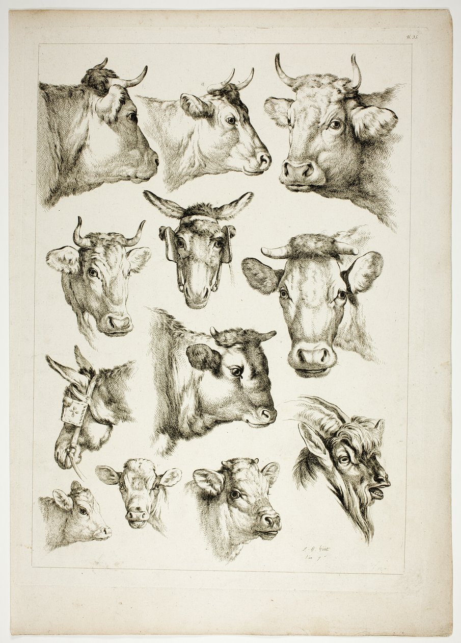 Placa 35 de 38 de Oeuvres de J. B. Huet de Jean Baptiste Huet