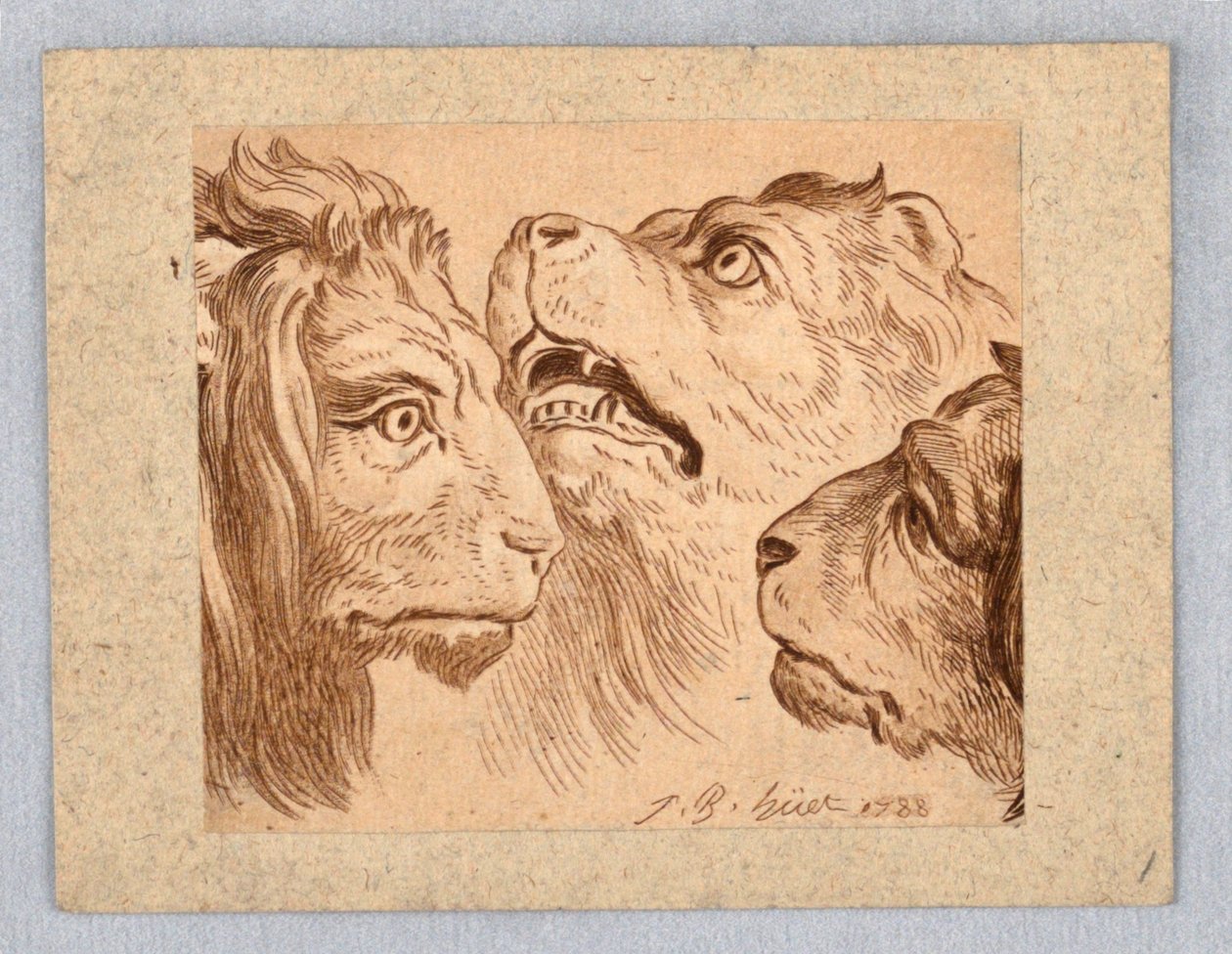 Três cabeças de leão de Jean Baptiste Huet