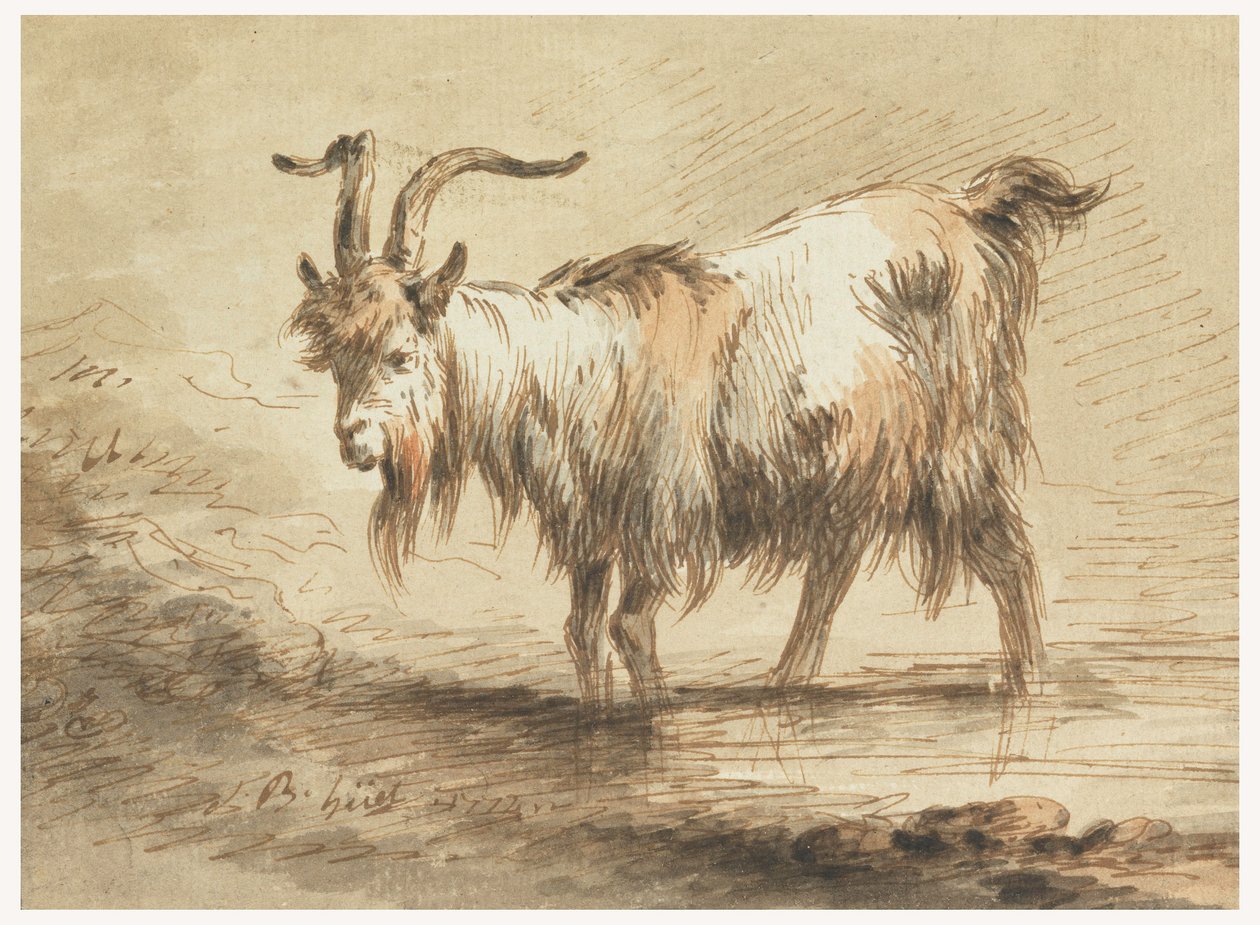 Desenho, Estudo de uma cabra, 1772 de Jean Baptiste Huet