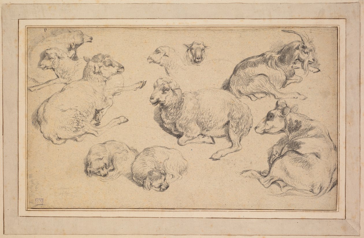 Folha de estudos com ovelhas, cabras e cães, c. 1780. de Jean Baptiste Marie Huet