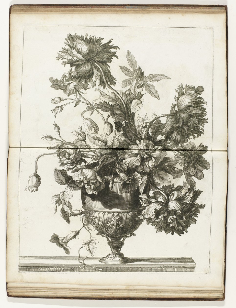 Bloemenvaas
Vários livros de vasos florais feitos de Natural (título da série) de Jean Baptiste Monnoyer