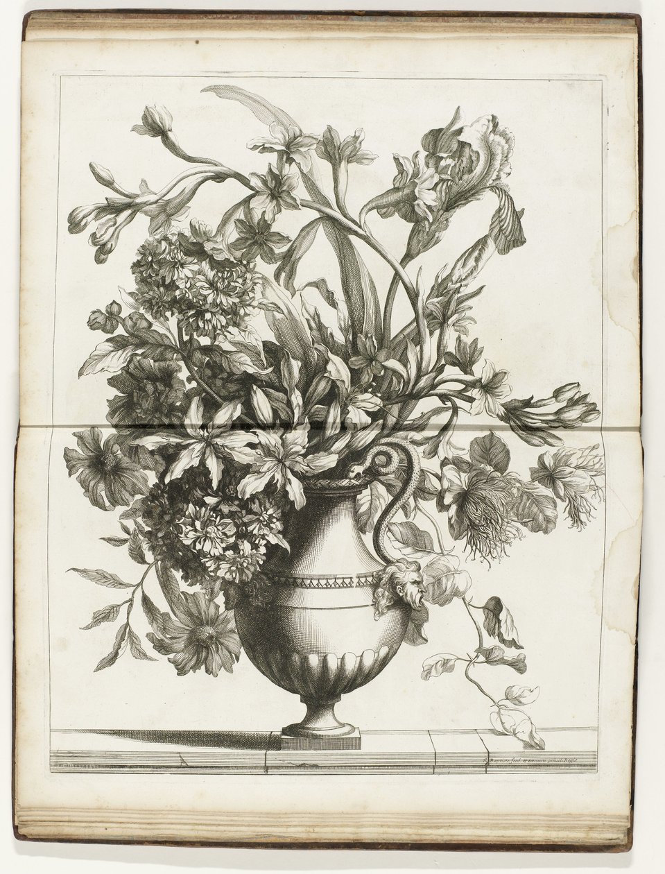 Bloemenvaas
Vários livros de vasos florais feitos de Natural (título da série) de Jean Baptiste Monnoyer