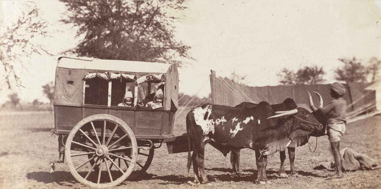 [Campbell Twins in a Shigram, Governor General