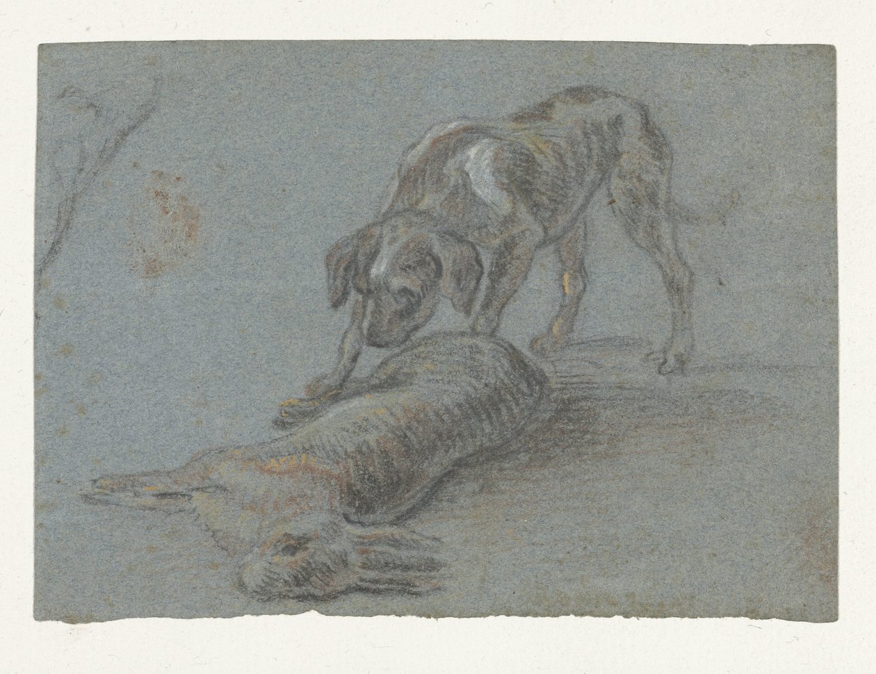 Cão a um tiro de lebre de Jean Baptiste Oudry (possibly)