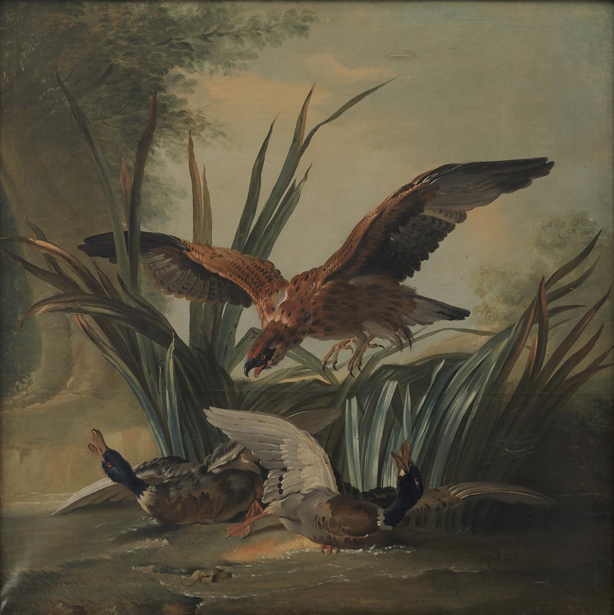 Um falcão perfurando um par de patos de Jean Baptiste Oudry