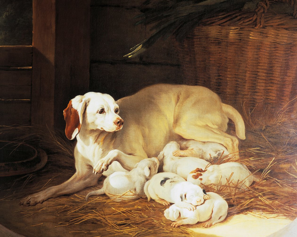 Filhotes de cadela, detalhe de Lise et ses petits, de Jean-Baptiste Oudry (1686-1755), França de Jean Baptiste Oudry