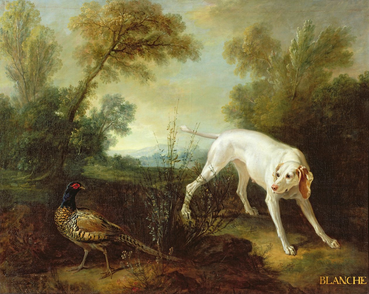 Blanche, cadela do Royal Hunting Pack de Jean Baptiste Oudry