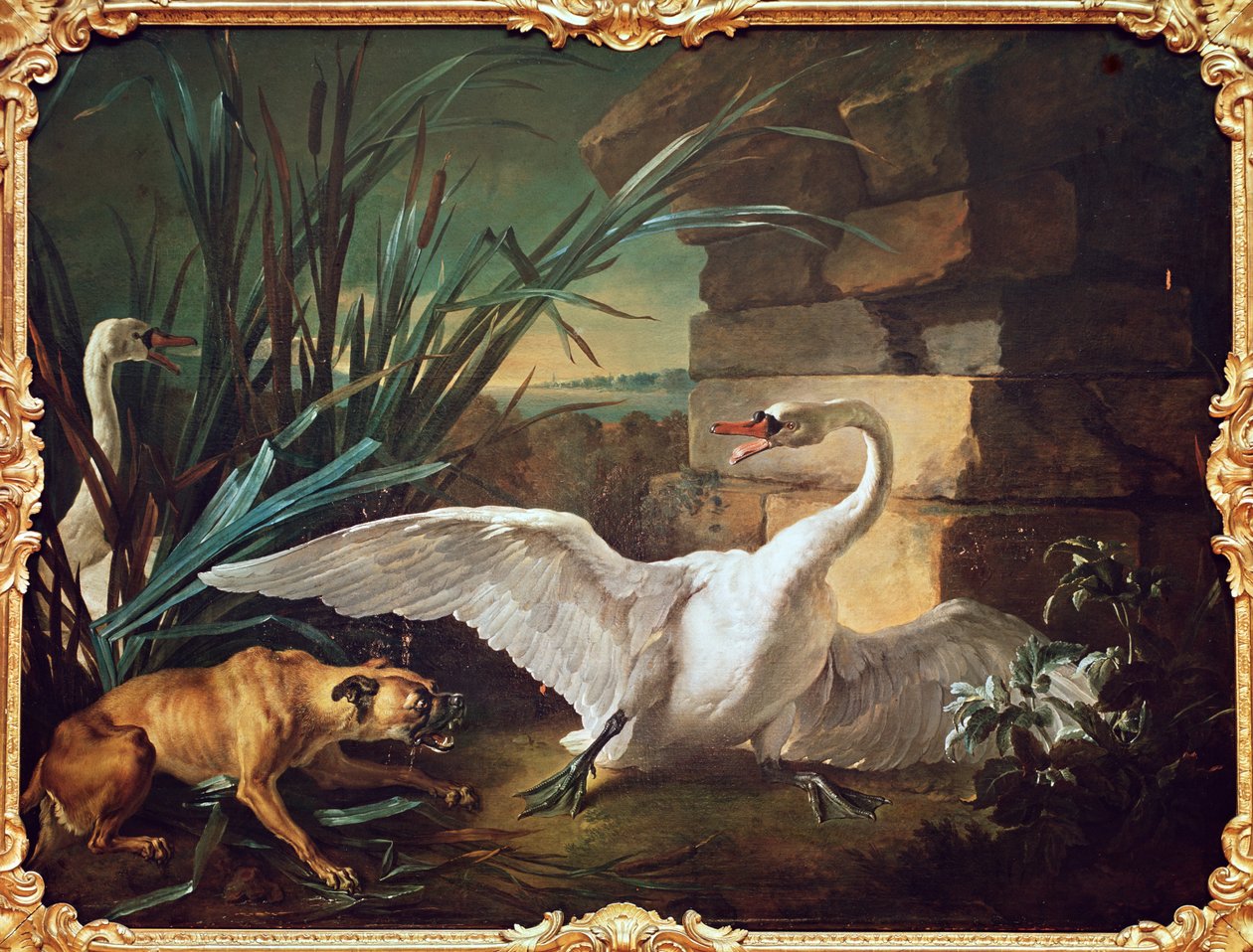 Cão e cisnes de Jean Baptiste Oudry