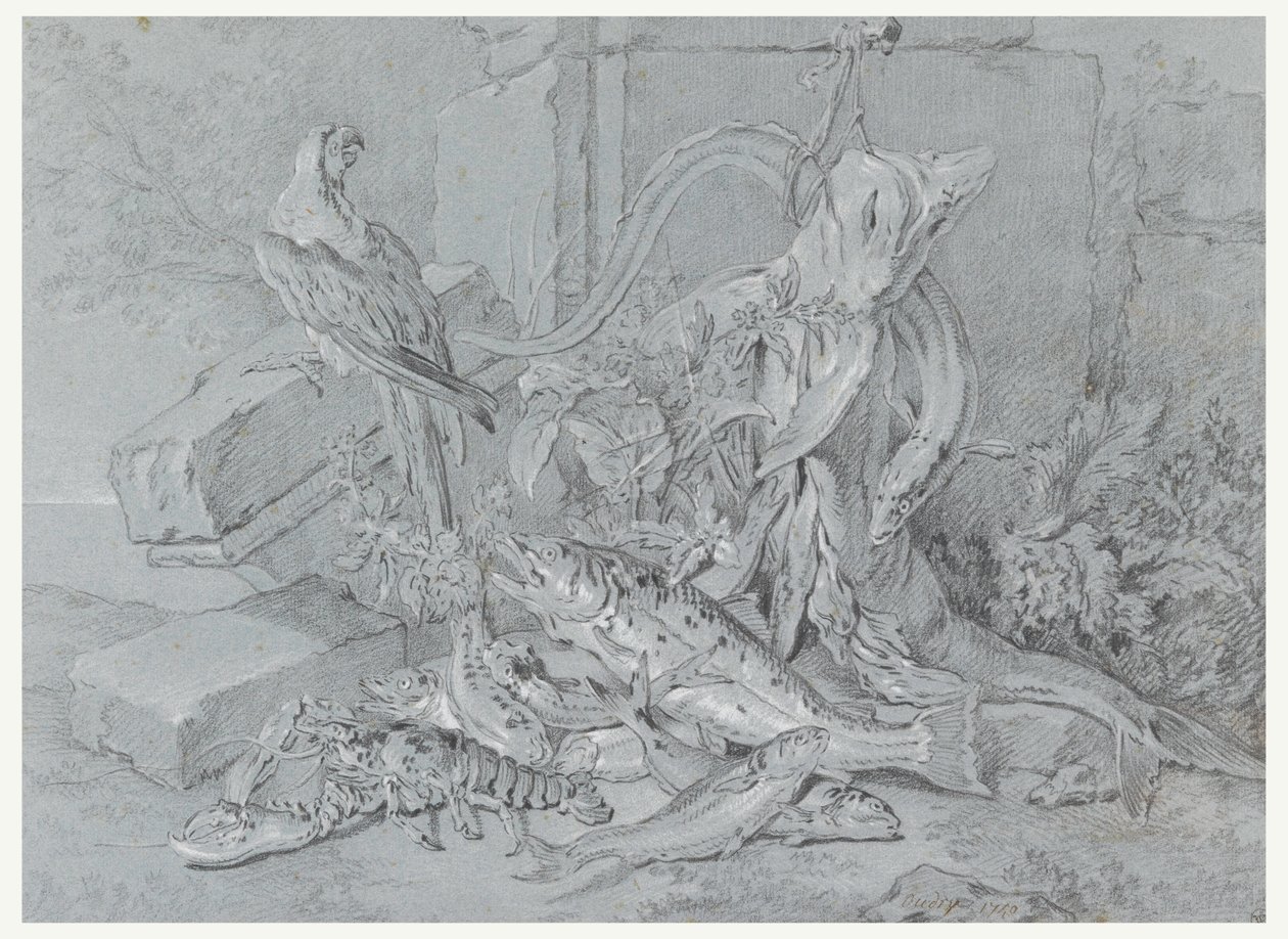 Desenho, Natureza-morta com peixe e papagaio, 1740 de Jean Baptiste Oudry