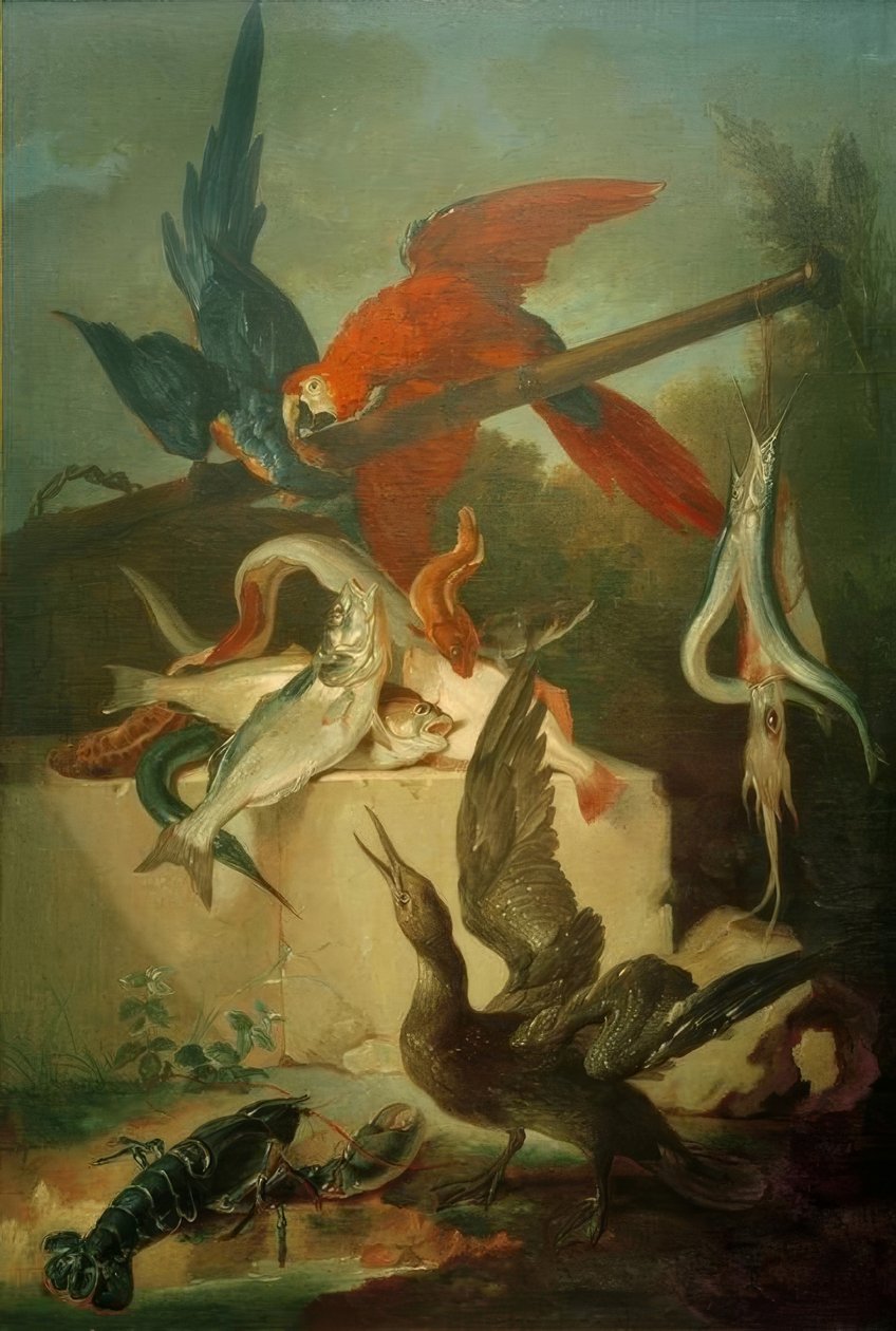 Peixes, aves marinhas e papegias de Jean Baptiste Oudry