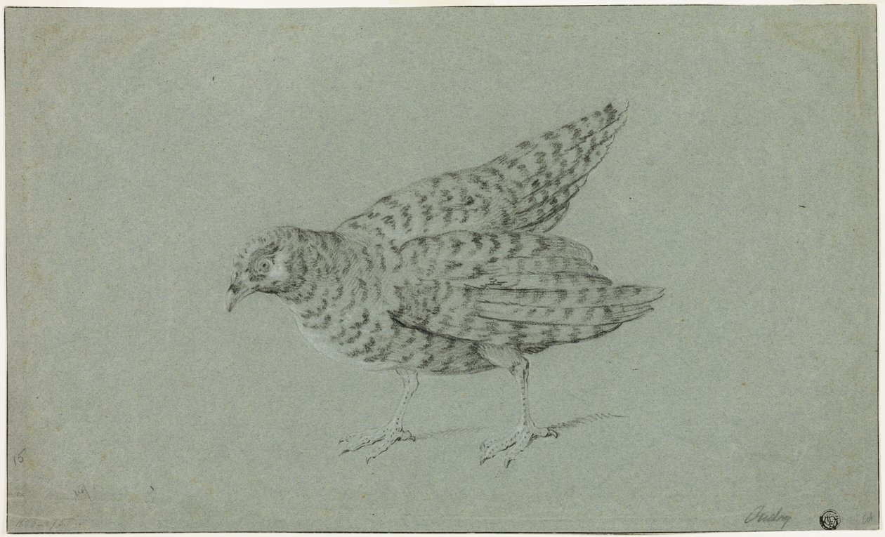 Perdiz de Jean Baptiste Oudry