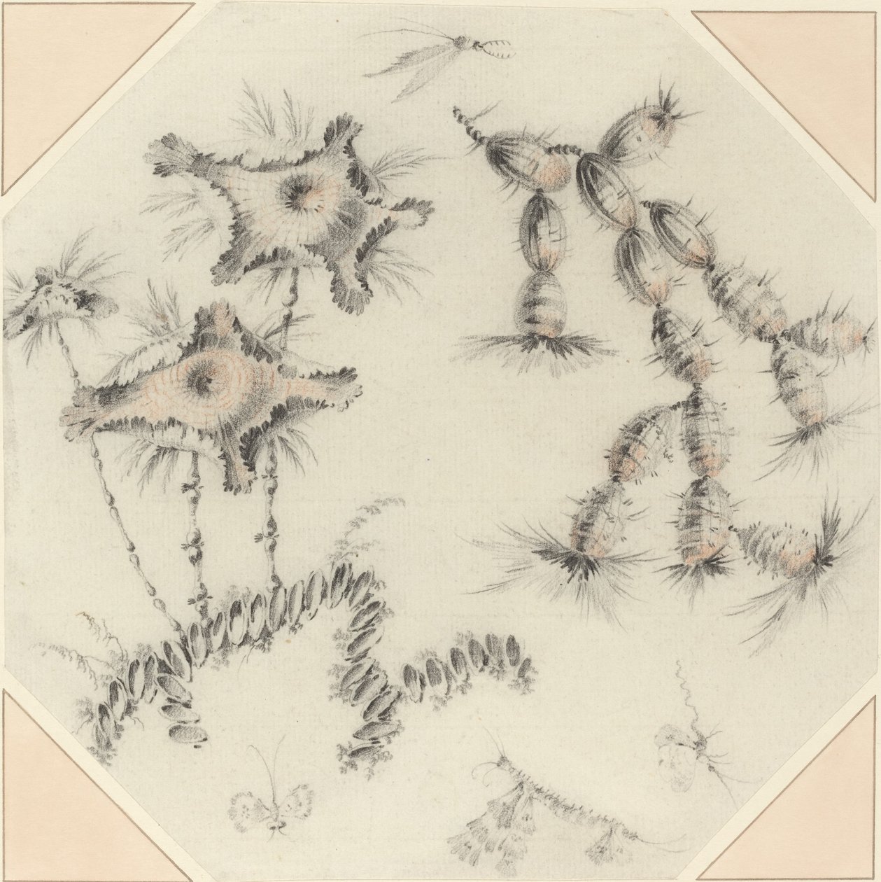 Flores de bambu e cactos de Jean Baptiste Pillement