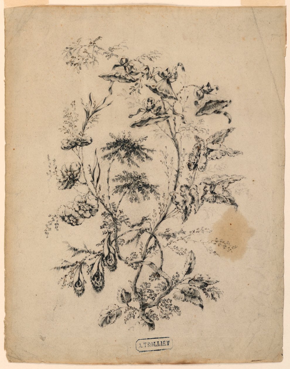 Desenho, Ramo de uma árvore fantástica, 1775-1800 de Jean Baptiste Pillement