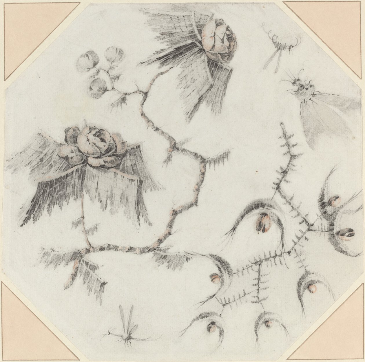 Flores e insetos fantasiosos de Jean Baptiste Pillement