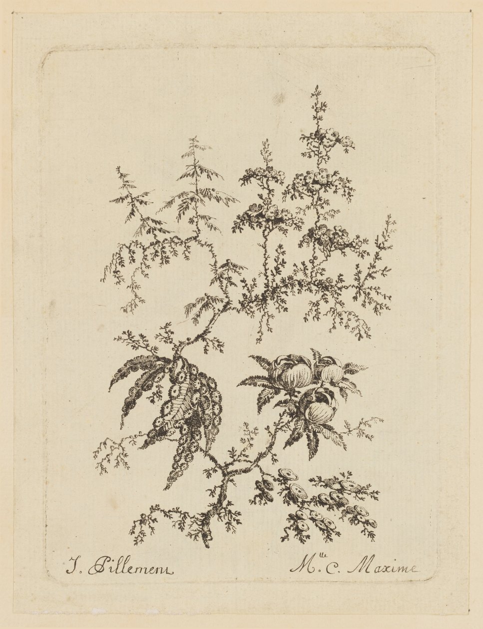 Flor Fantástica de Jean Baptiste Pillement