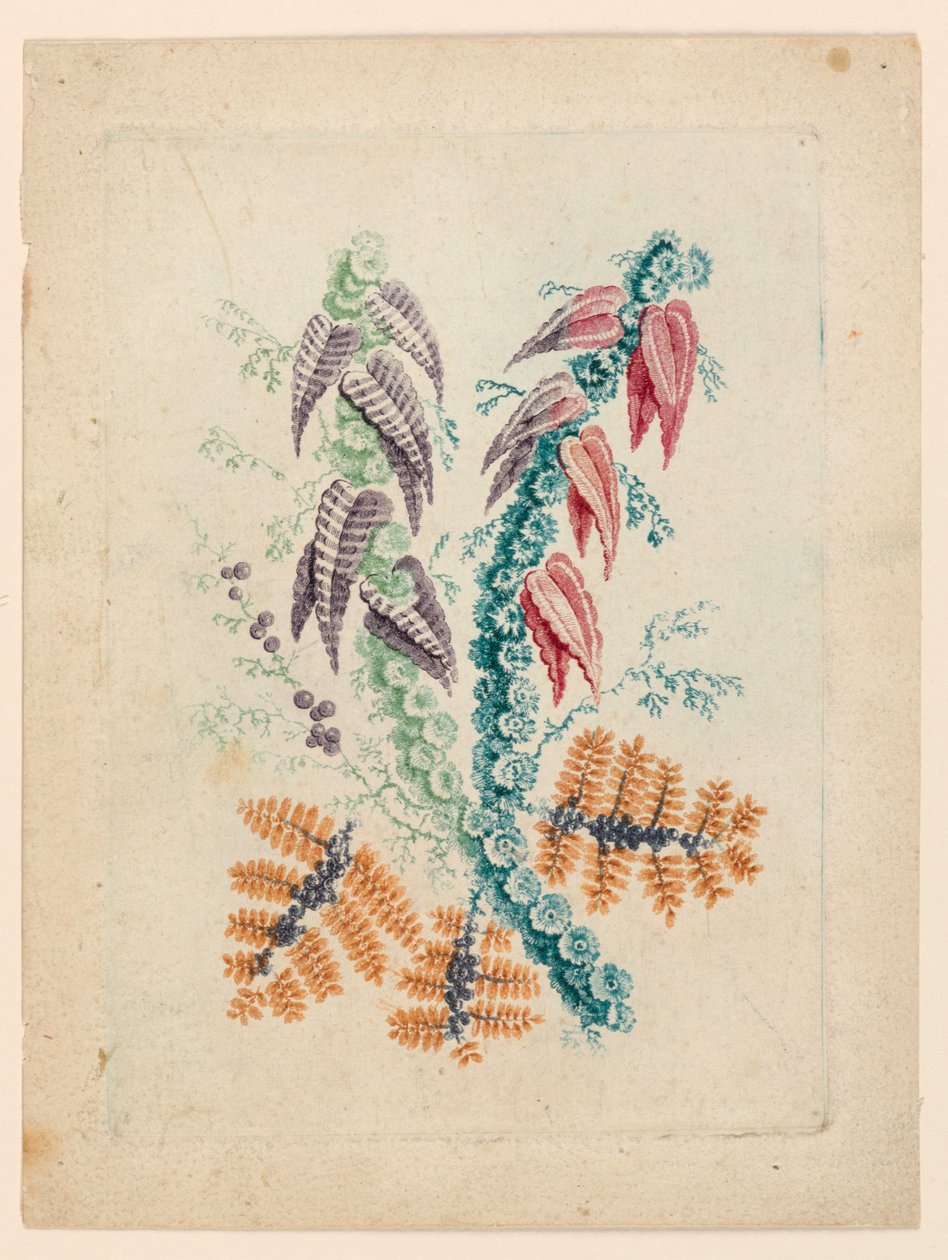 Motivo de flores fantástico de "New Suite of Ideal Flower Notebooks" de Jean Baptiste Pillement