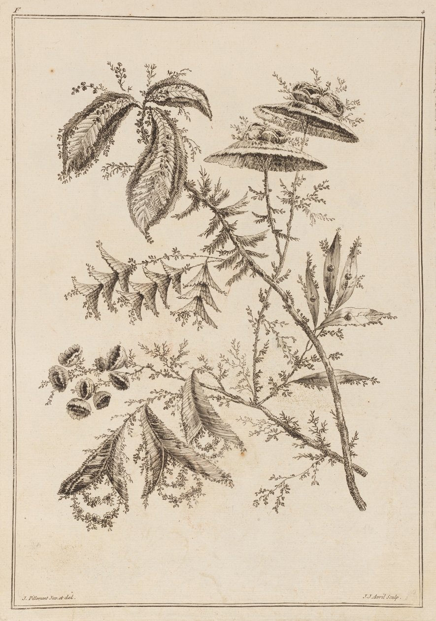 Ramo de Flor de Jean Baptiste Pillement