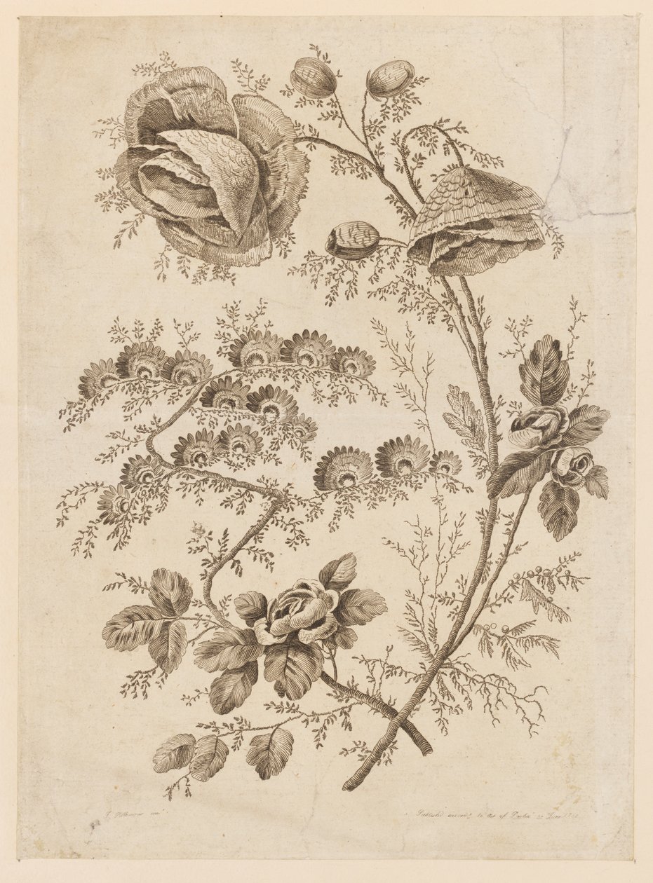Flower Bough, do "Cahier de Fleurs Singuliers" de Jean Baptiste Pillement