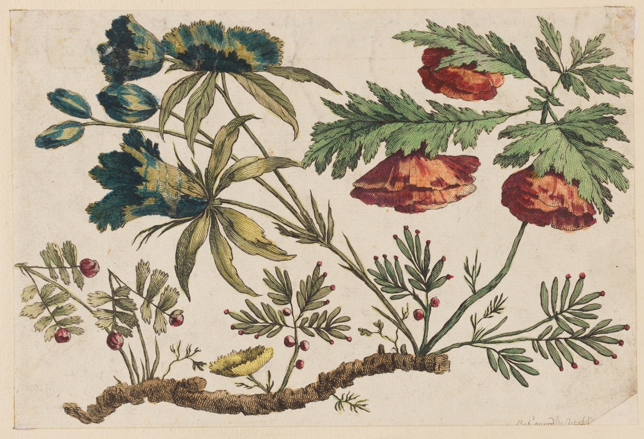 Ramo de Flores, da "Coleção de Flores Chinesas" de Jean Baptiste Pillement