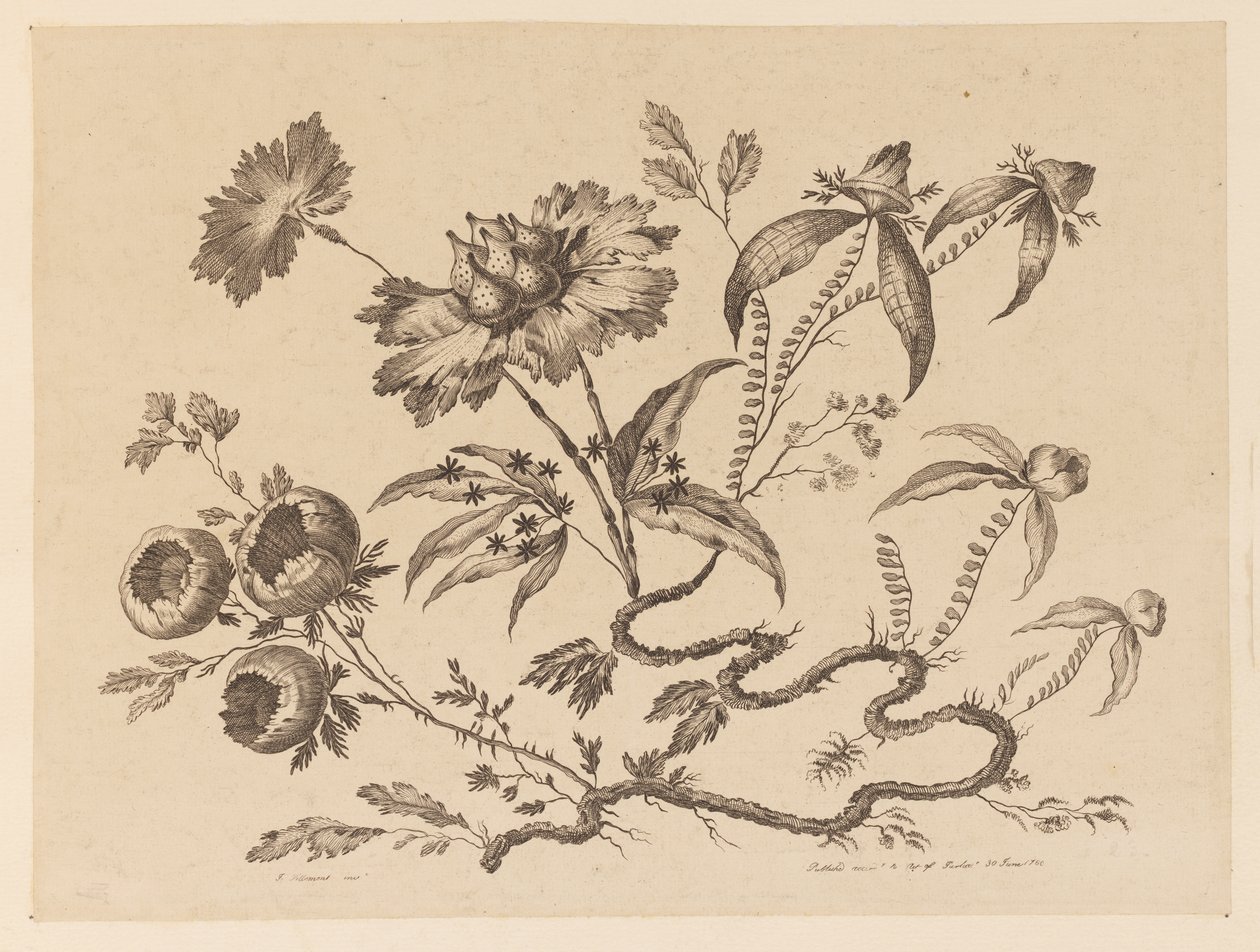 Flower Boughs, de "Recueil de Differentes Fleurs de Fantaisie Dans le Goût Chinois" de Jean Baptiste Pillement
