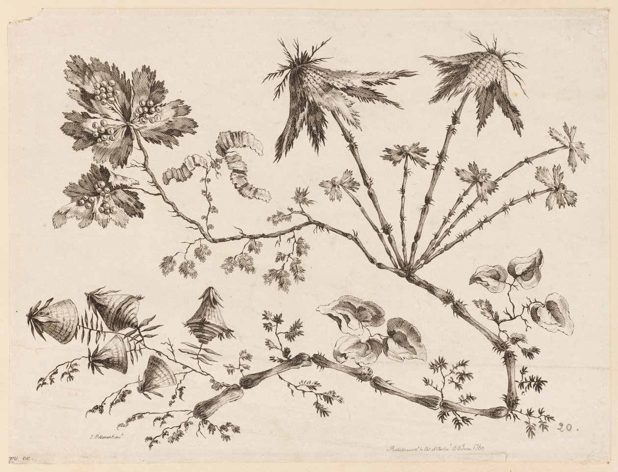 Ramos de flores, de "Coleção de diferentes flores de fantasia no gosto chinês" de Jean Baptiste Pillement