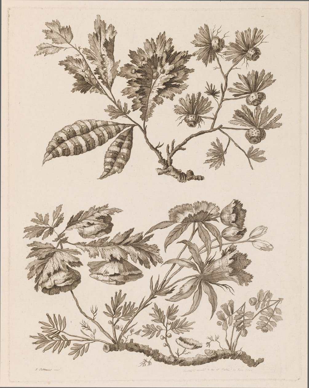 Ramos de flores, de "Coleção de diferentes flores de fantasia no gosto chinês" de Jean Baptiste Pillement