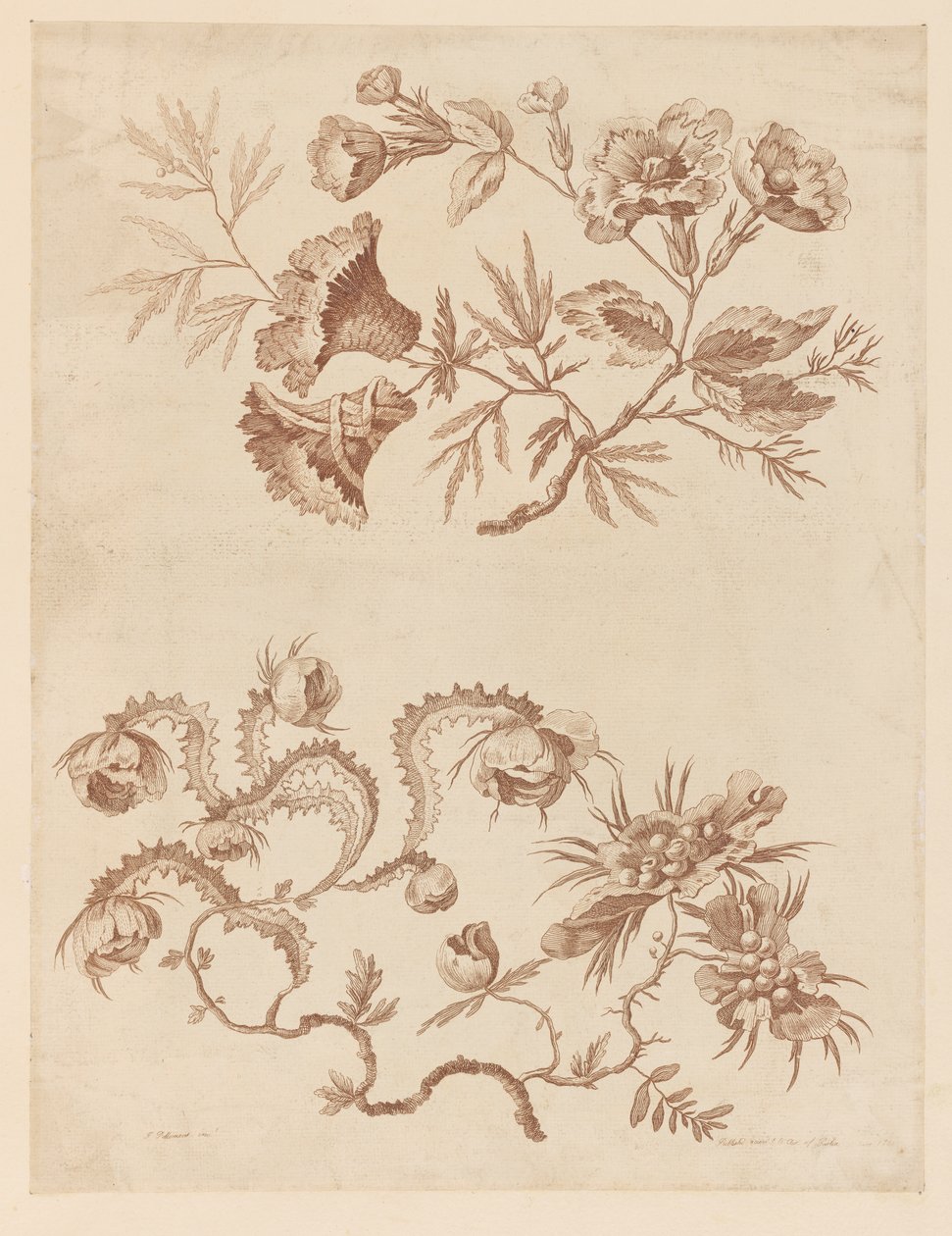 Ramos de flores, de "Coleção de diferentes flores de fantasia no gosto chinês" de Jean Baptiste Pillement