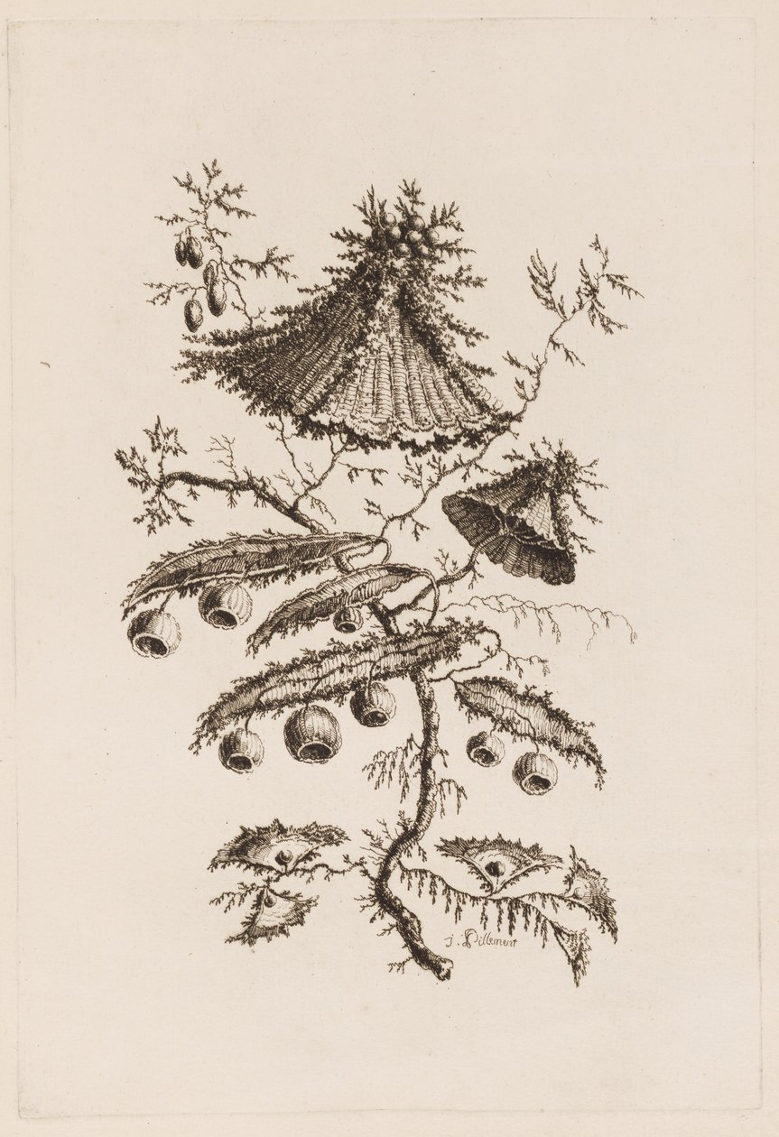 Ramo de Flor, de "Fleurs Persanes" de Jean Baptiste Pillement
