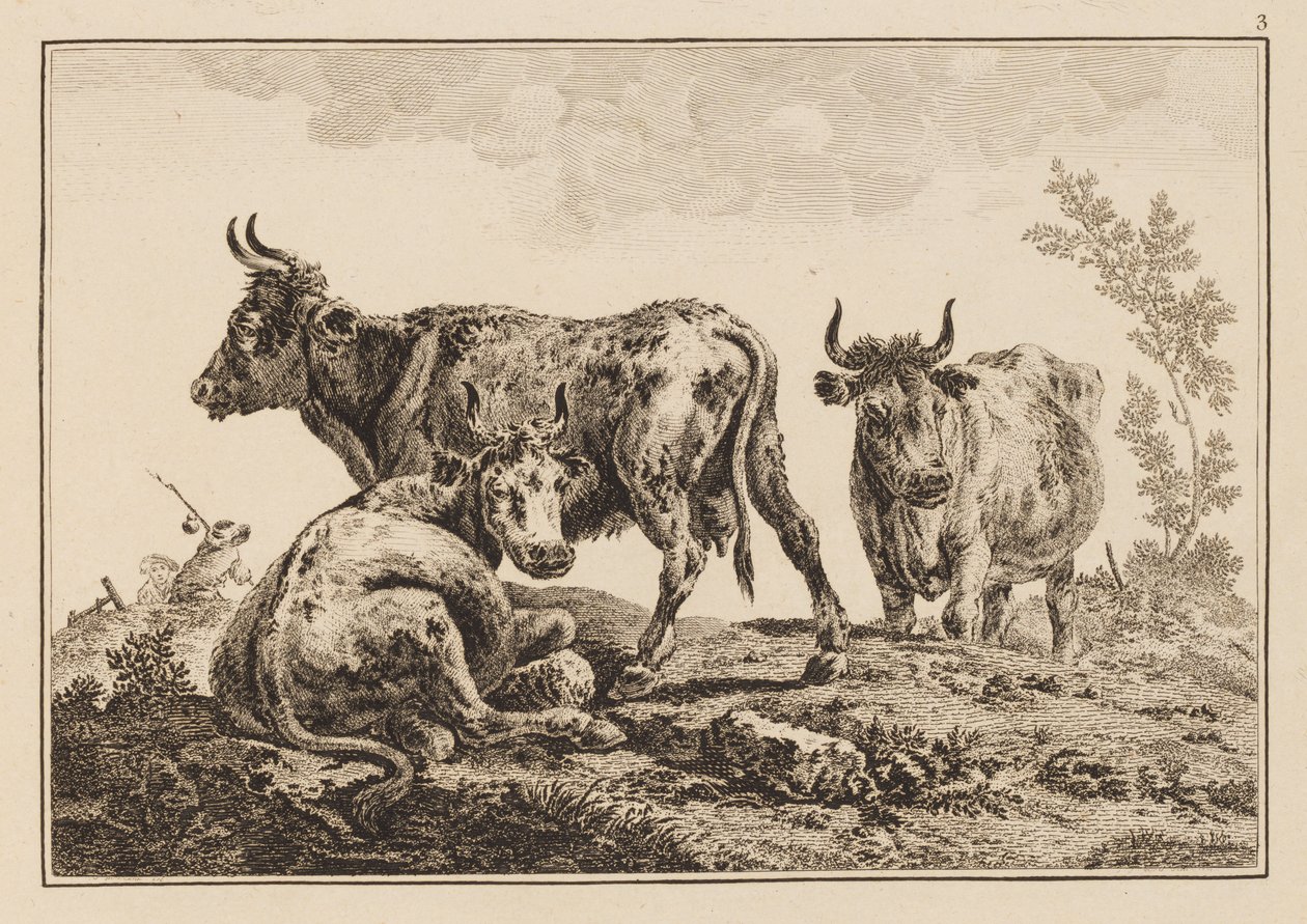 Placa 3, do "Caderno de Seis Folhas de Bois e Vacas" de Jean Baptiste Pillement